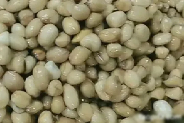 图片[1]-四季怪味花生米视频教程-香源配方网