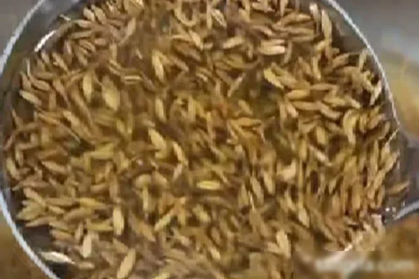 图片[1]-《孜然菠菜》和《万能素菜汁》视频教程-香源配方网