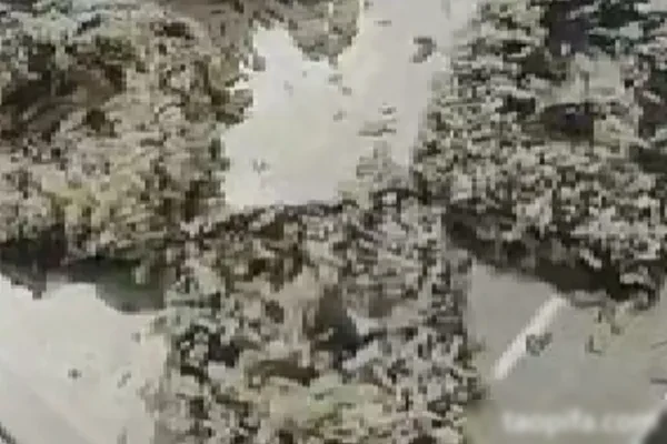 图片[1]-豆腐王朝三口味技术配方-香源配方网