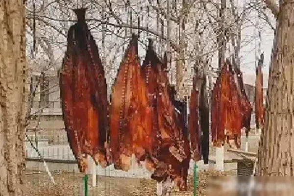 图片[1]-酱香风干手撕鲅鱼视频教程-香源配方网