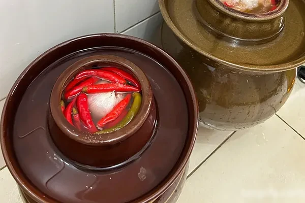 图片[1]-四川老坛泡菜技术配方和视频教程-香源配方网