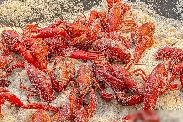 图片[1]-小龙虾皮皮虾系列技术配方和视频教程-香源配方网